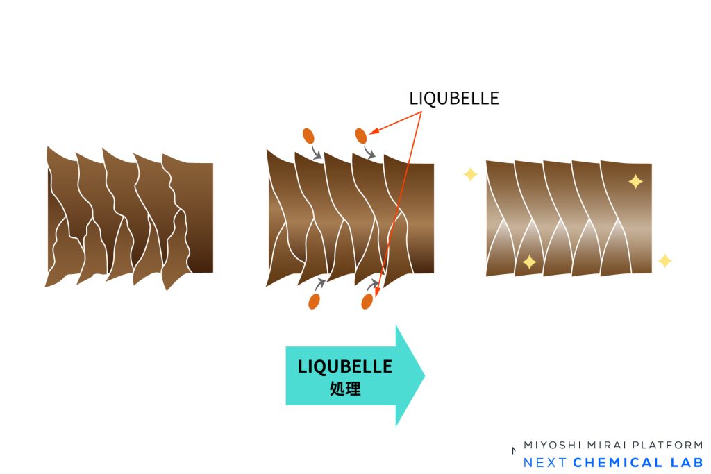 LIQUBELLE 2Cによる毛髪処理メカニズム
