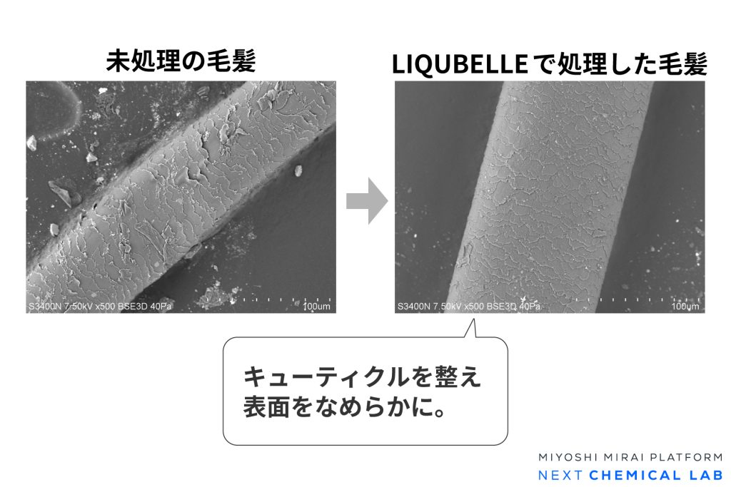 LIQUBELLE 2Cによる毛髪処理結果（電子顕微鏡）