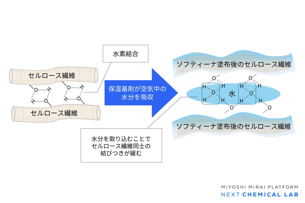 やわらかさを生む仕組み
ソフティーナをセルロース繊維に塗布すると、保湿基剤が空気中の水分を取り込みます。この水分によってセルロース繊維同士の結びつきが緩み、紙にやわらかな風合いが生まれます。
さらに、配合された保湿基剤や柔軟剤が繊維表面に作用し、しっとりとした触感を付与します。
また、グリセリンをベースとした安全性に配慮した成分を使用しており、肌へのやさしさにも考慮しています。加えて、用途や製品コンセプトに応じて、すべり感やぬめり感といった風合いの設計も可能です。