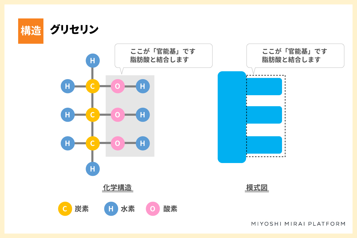 油脂のしくみ~そもそも油脂ってどんなもの?~よくわかる油脂のはなし【第 1 章】 - ミヨシ油脂株式会社