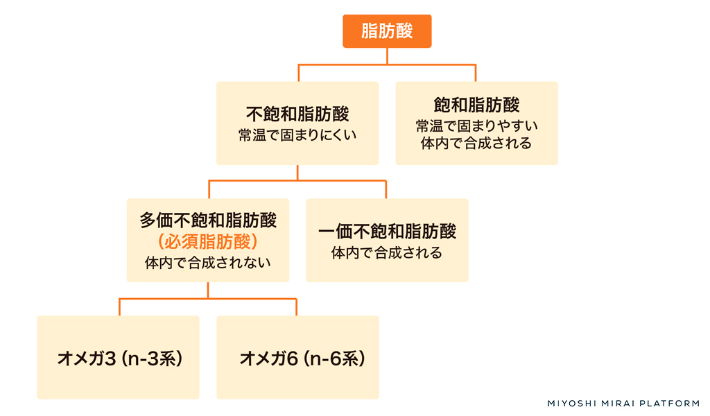 脂肪酸の種類