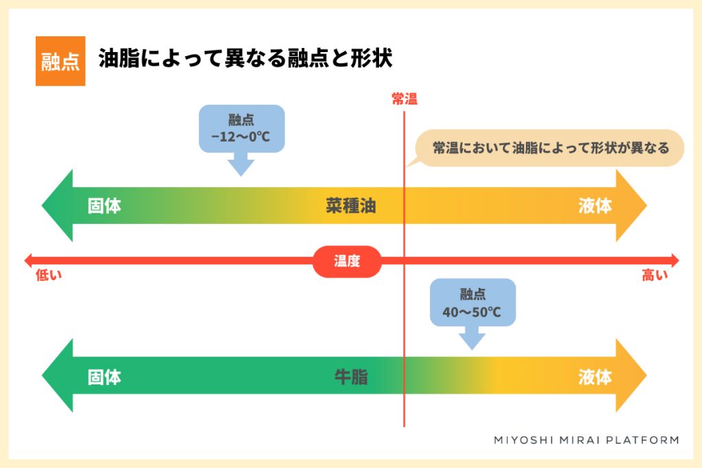 油脂の融点と形状