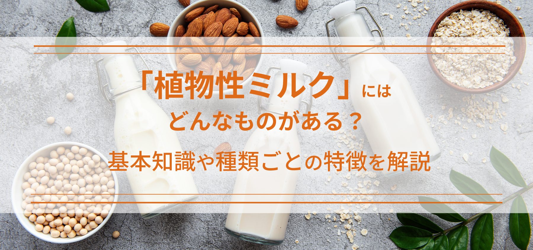 植物性ミルク」にはどんなものがある？ 基本知識や種類ごとの特徴