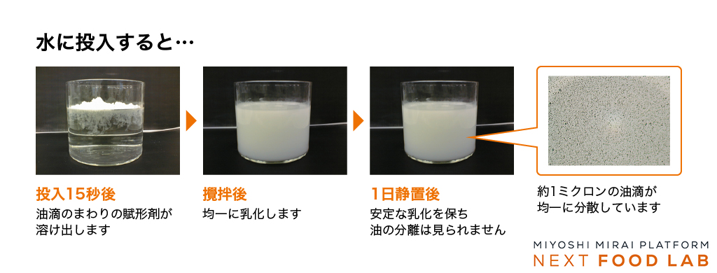 粉末油脂の水溶性試験