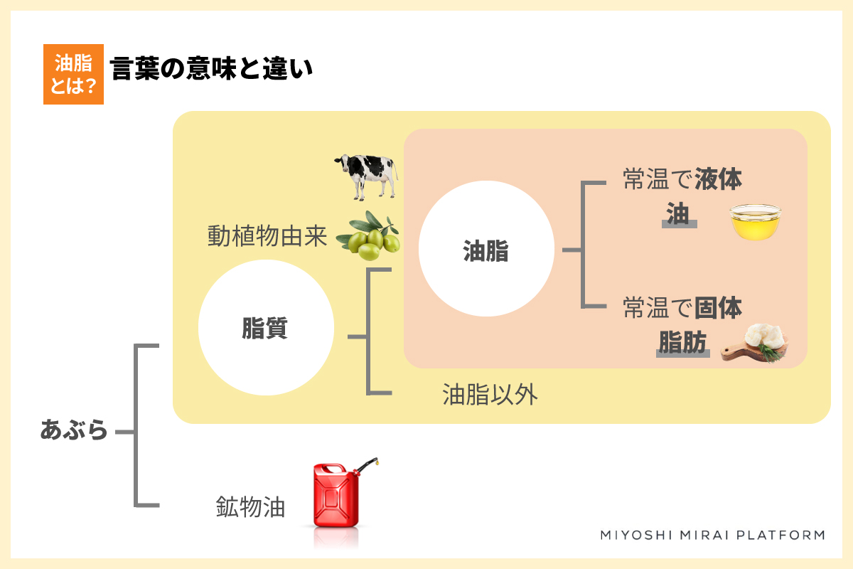 油脂のしくみ~そもそも油脂ってどんなもの?~よくわかる油脂のはなし【第 1 章】 - ネクストフードラボ - ミヨシ油脂株式会社