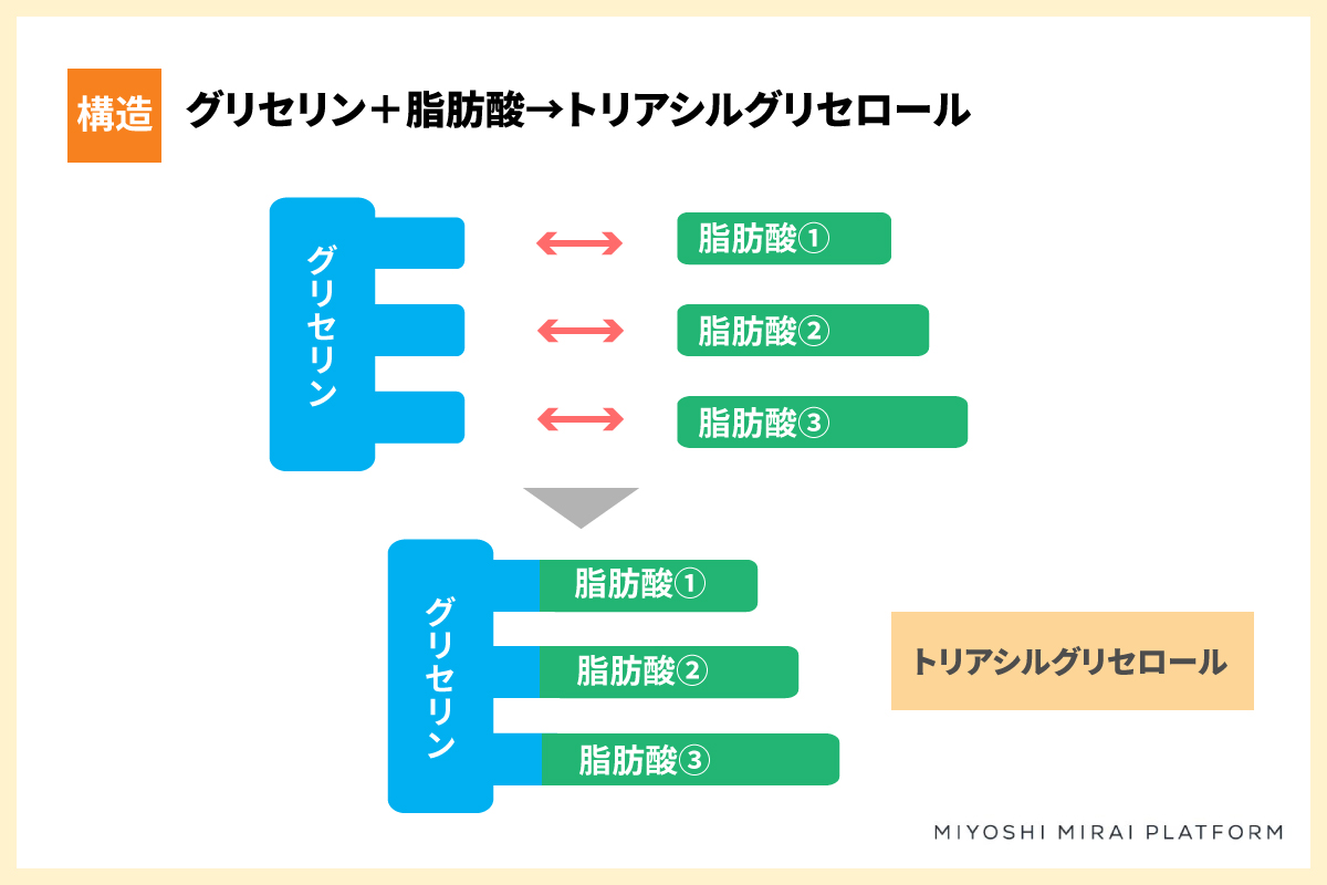 油脂のしくみ~そもそも油脂ってどんなもの?~よくわかる油脂のはなし【第 1 章】 - ネクストフードラボ - ミヨシ油脂株式会社