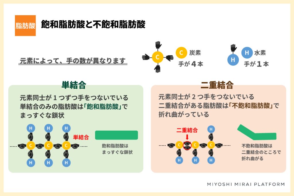 飽和脂肪酸と不飽和脂肪酸